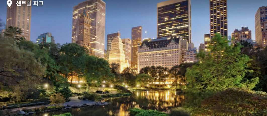 코칭 포함 강의 Thumbnail